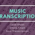 I will do professional music transcription service